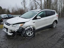 Salvage cars for sale at Portland, OR auction: 2014 Ford Escape SE