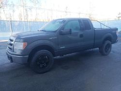 Salvage cars for sale from Copart Moncton, NB: 2013 Ford F150 Super Cab