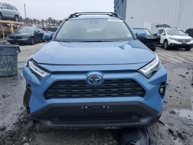 2023 Toyota Rav4 Woodland Edition