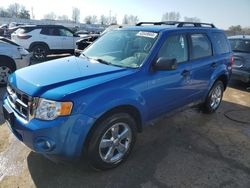 Ford Escape XLT salvage cars for sale: 2012 Ford Escape XLT