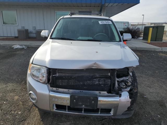 2011 Ford Escape Hybrid