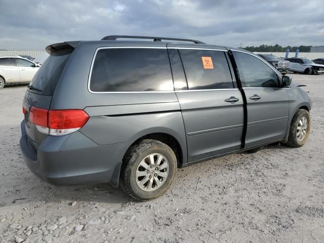 2008 Honda Odyssey EXL