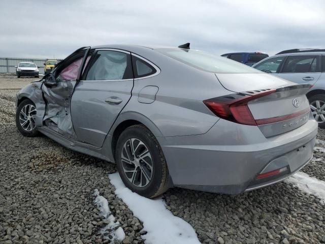 2023 Hyundai Sonata Hybrid