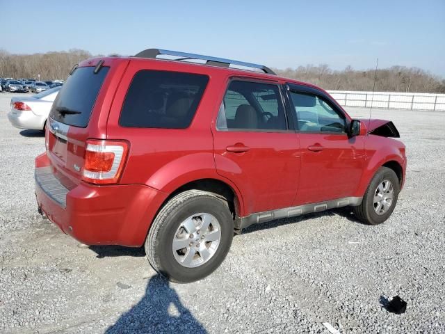 2010 Ford Escape Limited