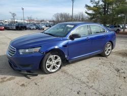 Salvage cars for sale at Lexington, KY auction: 2015 Ford Taurus SE