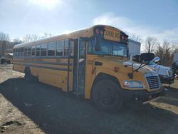 Salvage trucks for sale at Chambersburg, PA auction: 2013 Blue Bird School Bus / Transit Bus