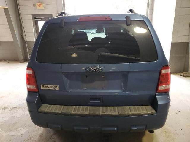 2010 Ford Escape XLT