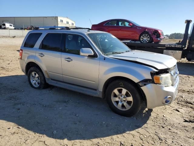 2010 Ford Escape Limited