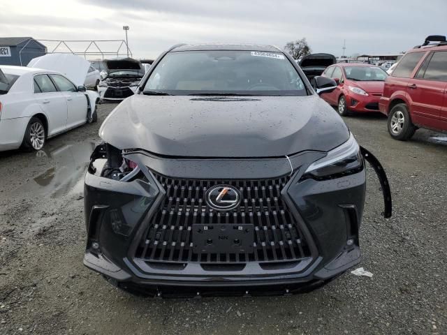 2024 Lexus NX 350H Base