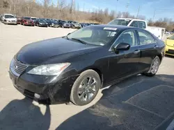 Lexus salvage cars for sale: 2007 Lexus ES 350