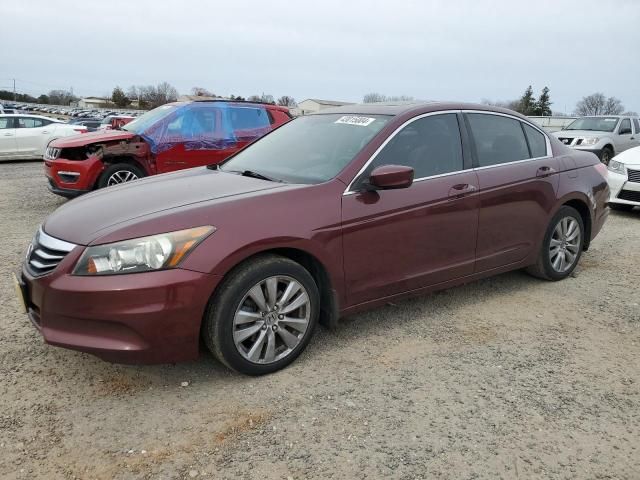 2011 Honda Accord EX