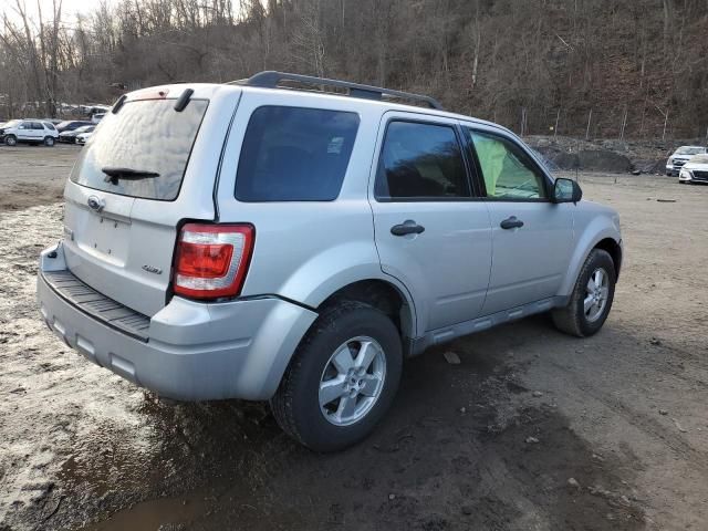 2009 Ford Escape XLT