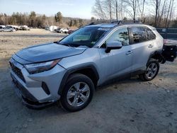 Vehiculos salvage en venta de Copart Candia, NH: 2023 Toyota Rav4 XLE