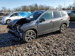 Salvage cars for sale from Copart Chalfont, PA: 2023 Subaru Forester Limited