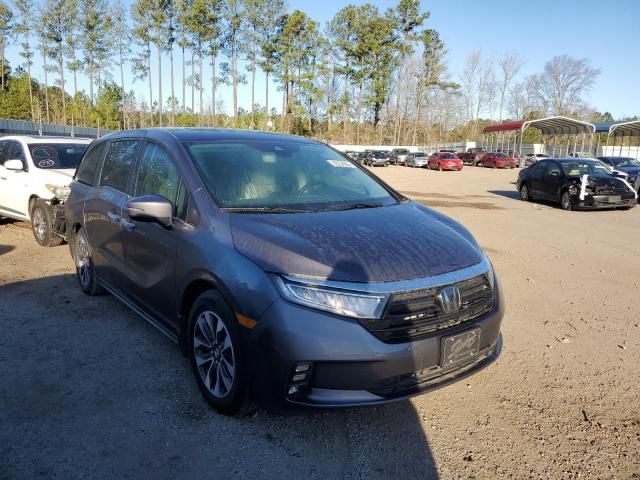 2023 Honda Odyssey EXL