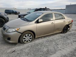 Toyota salvage cars for sale: 2009 Toyota Corolla Base