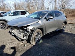 Salvage cars for sale at Marlboro, NY auction: 2023 Lexus NX 350