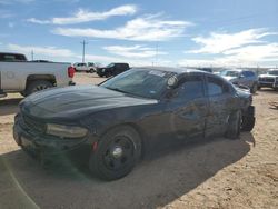 Dodge Charger salvage cars for sale: 2016 Dodge Charger Police
