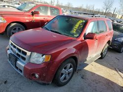 Salvage SUVs for sale at auction: 2012 Ford Escape Limited