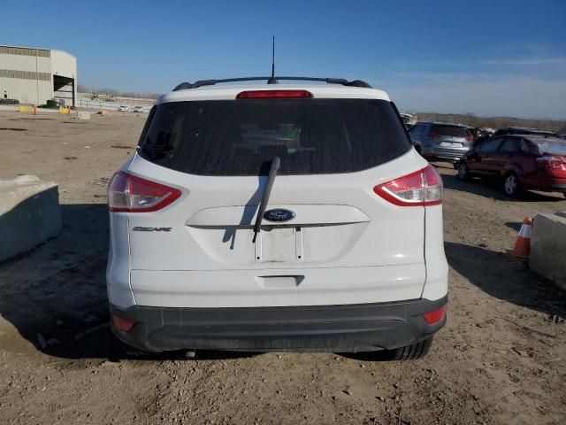 2014 Ford Escape S