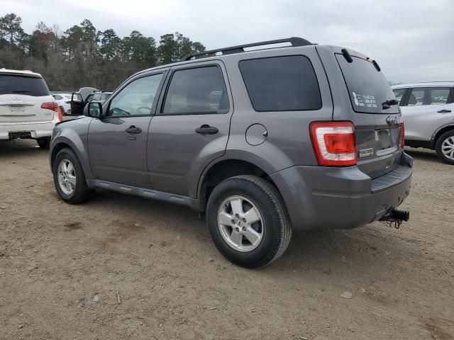 2011 Ford Escape XLT