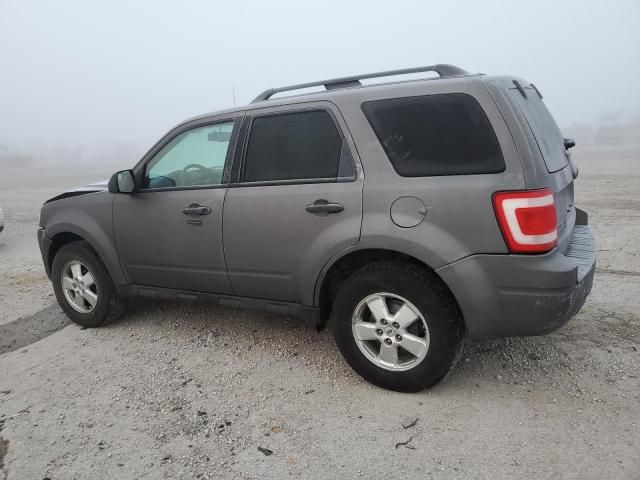 2011 Ford Escape XLT