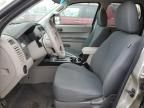 2010 Ford Escape XLS