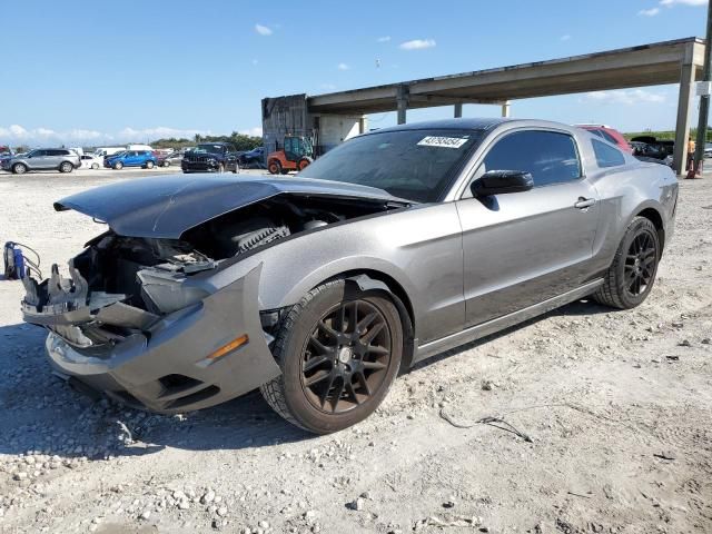 2014 Ford Mustang