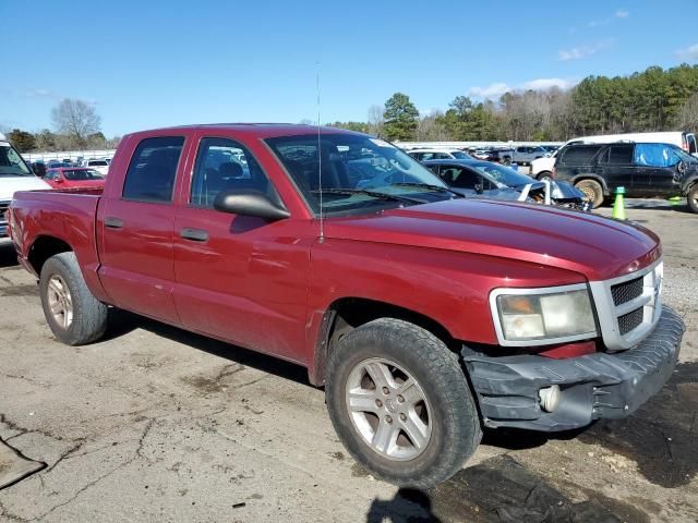 2011 Dodge Dakota SLT