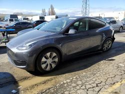 Tesla Model Y salvage cars for sale: 2023 Tesla Model Y