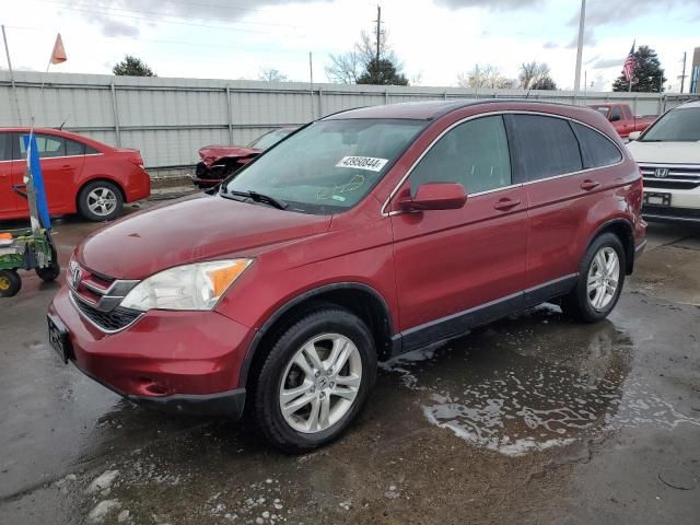 2010 Honda CR-V EXL