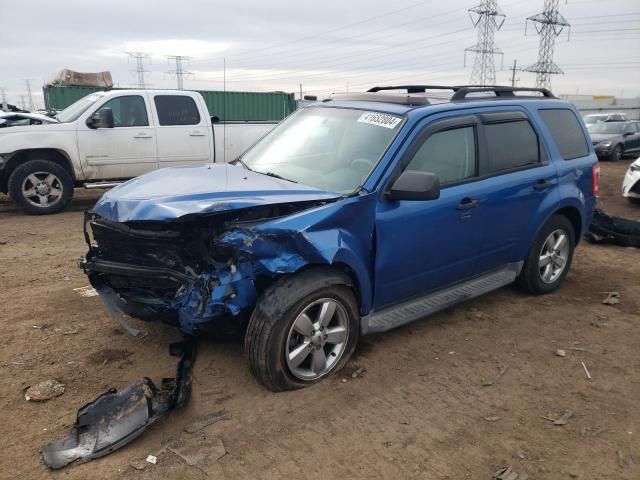 2011 Ford Escape XLT