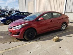 2016 Hyundai Elantra SE for sale in Lawrenceburg, KY