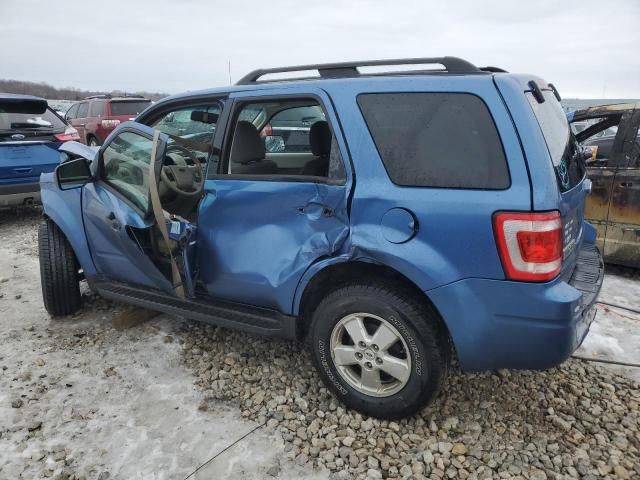 2009 Ford Escape XLT