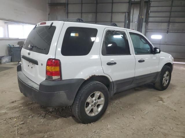 2007 Ford Escape XLT