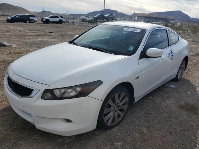 2009 Honda Accord EXL