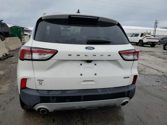 2020 Ford Escape SE Sport