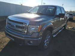 Salvage trucks for sale at New Britain, CT auction: 2014 Ford F150 Supercrew