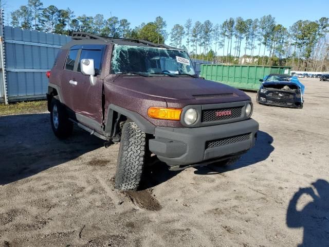 2007 Toyota FJ Cruiser