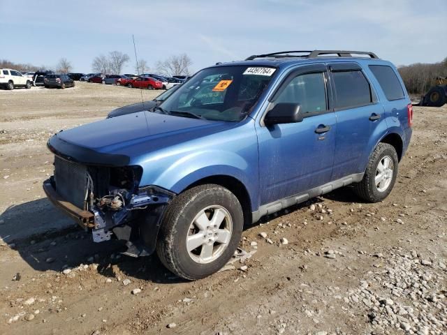 2010 Ford Escape XLT