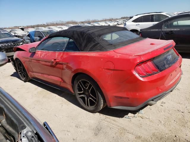 2019 Ford Mustang