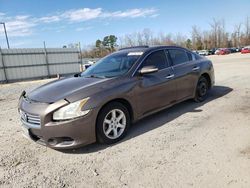 2012 Nissan Maxima S for sale in Lumberton, NC