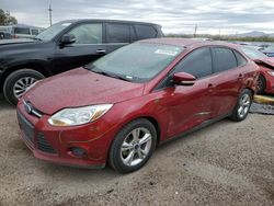 Salvage cars for sale at Tucson, AZ auction: 2014 Ford Focus SE