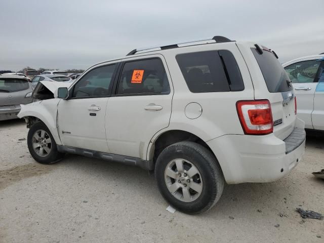 2009 Ford Escape Hybrid