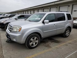Salvage cars for sale at Louisville, KY auction: 2010 Honda Pilot EXL