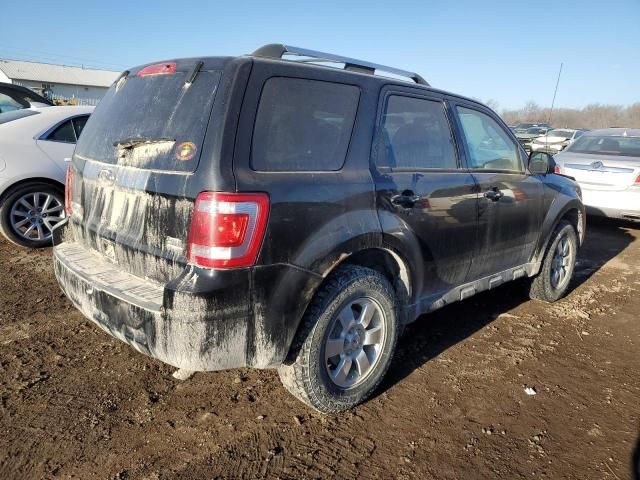 2010 Ford Escape Limited