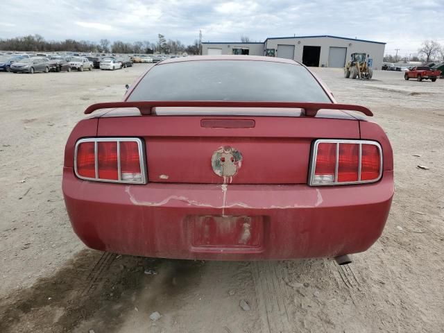 2005 Ford Mustang