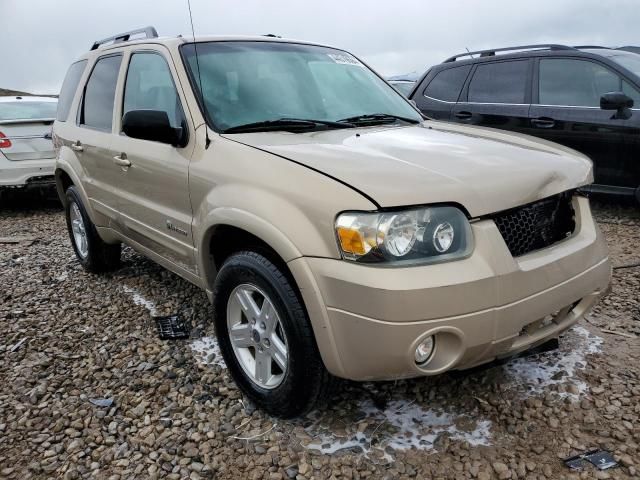 2007 Ford Escape HEV