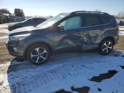 Vehiculos salvage en venta de Copart London, ON: 2017 Ford Escape SE