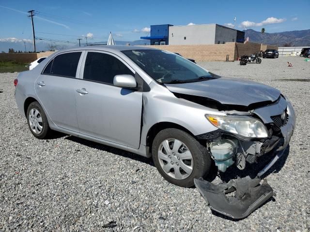 2010 Toyota Corolla Base